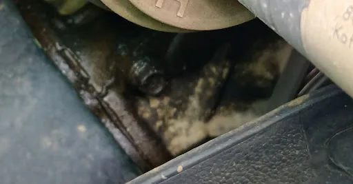 Oil leak detected 1